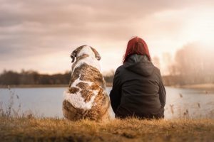 Silver Linings Recovery Center Benefits of Pets in Addiction Recovery